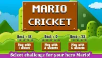 Mario Cricket World Screen Shot 2