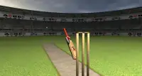 True Cricket 2015 Screen Shot 4