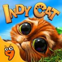 Indy Cat 3