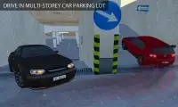 Multi Level Parking Mania 2016 Screen Shot 5
