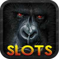 Slots Jungle Wild Kong Casino