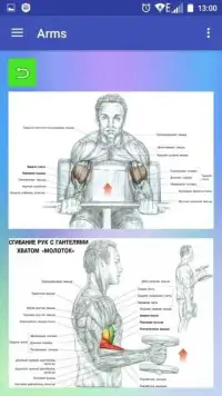 All exercises for all muscles Screen Shot 7