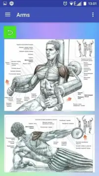 All exercises for all muscles Screen Shot 8