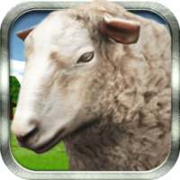 Farm Sheep Simulator 3D