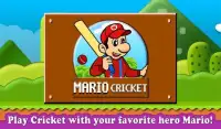 Mario Cricket World Screen Shot 7