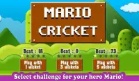 Mario Cricket World Screen Shot 6