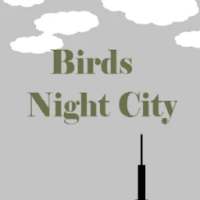 Birds. Night city