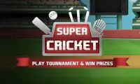 Super Cricket Fever Screen Shot 2