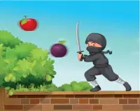 Ninja Fruit Screen Shot 2
