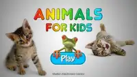 Animals for Kids Screen Shot 7