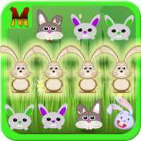 Rabbit Match Game