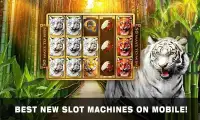 Slots Tiger King Casino Slots Screen Shot 13