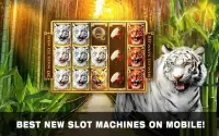 Slots Tiger King Casino Slots Screen Shot 8