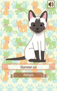 Old Maid Cat (card game) Screen Shot 2