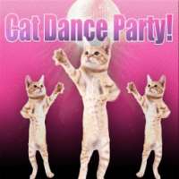 Cat Dance Party