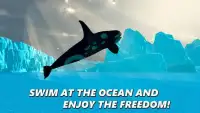 Killer Whale Simulator: Orca Screen Shot 0