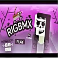 Rig Bmx Show game