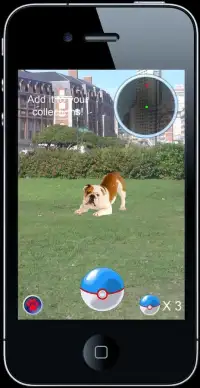 Pocket Dogs Go! Screen Shot 1