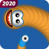 Snake Zone : worm snake zone 2020