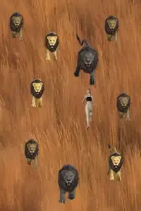 Lion Hunting Simulator 2016 Screen Shot 1