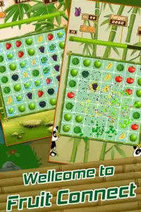 Fruit Line Connect 2016 Free Screen Shot 11