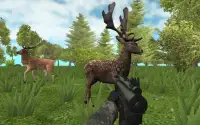 Hunter: Animals In The Forest Screen Shot 3
