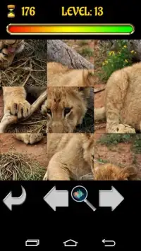 Big Cats Puzzles – Free Jigsaw Screen Shot 1