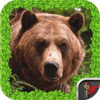 Animal Survival - Bear