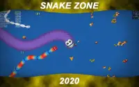 Worm Snake Zone : worm mate zone snake Screen Shot 0