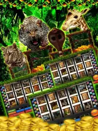 Wild Jungle Slots – Slot Fever Screen Shot 0