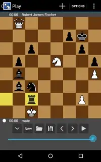Chess Board Game HD Screen Shot 5