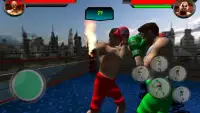الملاكمة 3D البطل Screen Shot 2