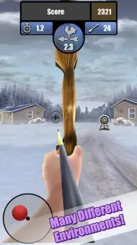 Archery Tournament Screen Shot 1