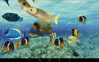 Happy Fish 3D Screen Shot 1