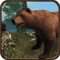 Wild Bear Attack 3D Simulator