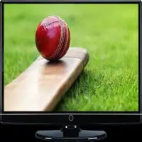 T20 Cricket TV Channels Info Screen Shot 2