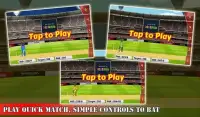 Cricket World Championship Screen Shot 1