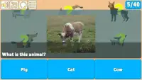 Animals Trivia Quiz Screen Shot 1