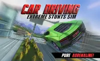Car driving extreme stunts sim Screen Shot 3