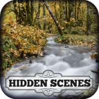 Hidden Scenes - Harvest Time
