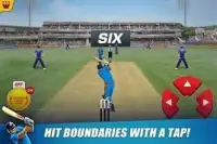 Power Cricket T20 Screen Shot 6