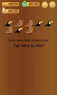 Touch Same Birds-consecutively Screen Shot 2