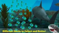 Mad Shark Attack Simulator 3D Screen Shot 1