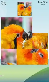 Funny Birds Couple Screen Shot 0