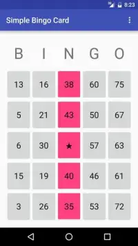 Simple Bingo Card Screen Shot 1