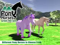 Pony Horses Green Hill Sim 3D Screen Shot 0