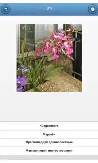 Комнатные растения - викторина Screen Shot 10