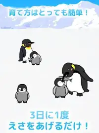 育成ゲーム-まったりペンギン無料育成アプリ Screen Shot 4