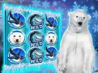 Polar Bear: Free Slots Casino Screen Shot 0