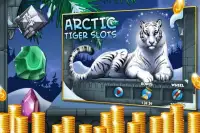 Arctic Tiger Slot Machine Screen Shot 0